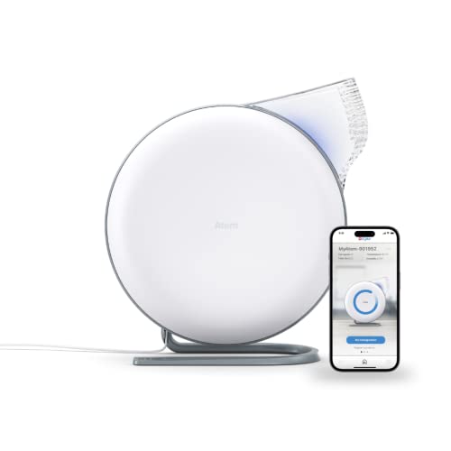 Personal Air Purifier