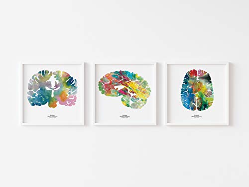 Medical Art Canvas Set