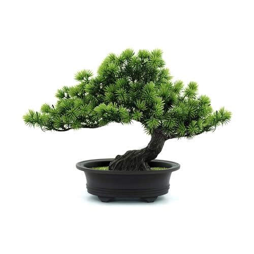Bonsai Tree