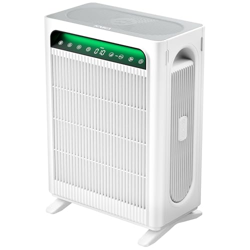 Personal Air Purifier