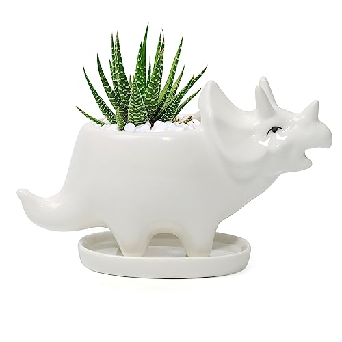 Dinosaur Planters