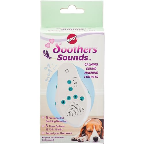 Calming Music Device