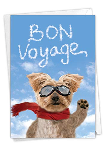 Bon Voyage Greeting Card