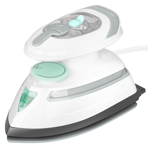 Mini Steam Iron