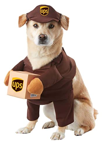 UPS Delivery Man Costume