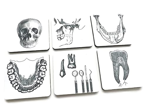 Dentist Gift Drink Coasters