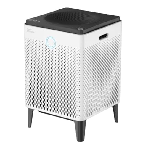 Paint Fumes Air Purifier