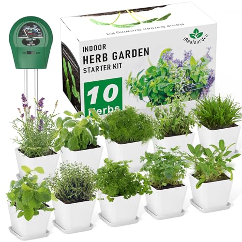 Classroom Herb Garden
