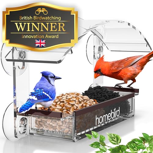 Deluxe Window Bird Feeder