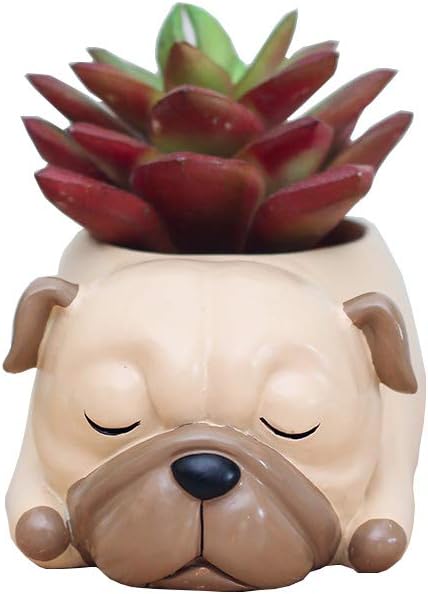 Lazy Dog Planter