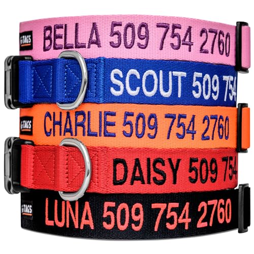 Personalized Dog Collar