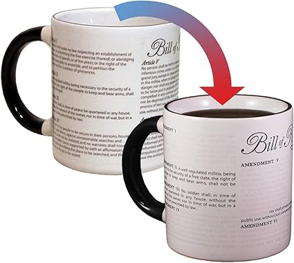 Disappearing Civil Liberties Mug