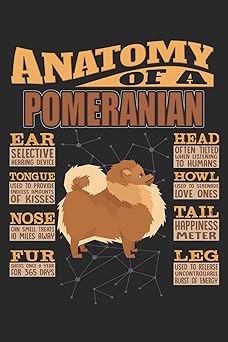 Anatomy Of Pomeranians