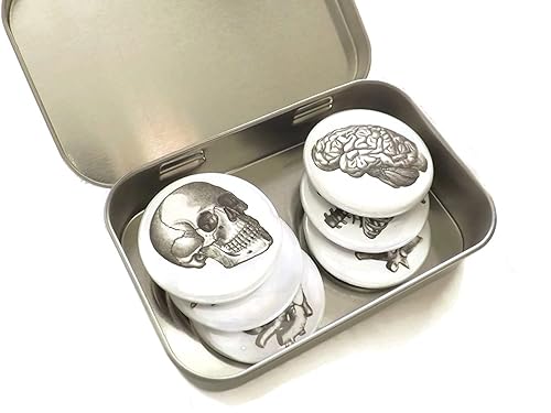 Anatomy Magnet Set