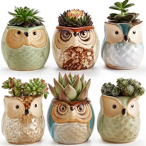 Owl Planter Set
