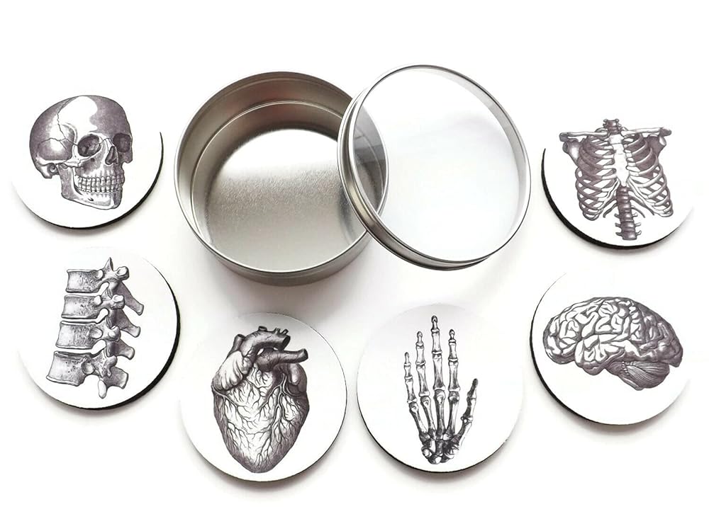 Anatomy Coaster Set