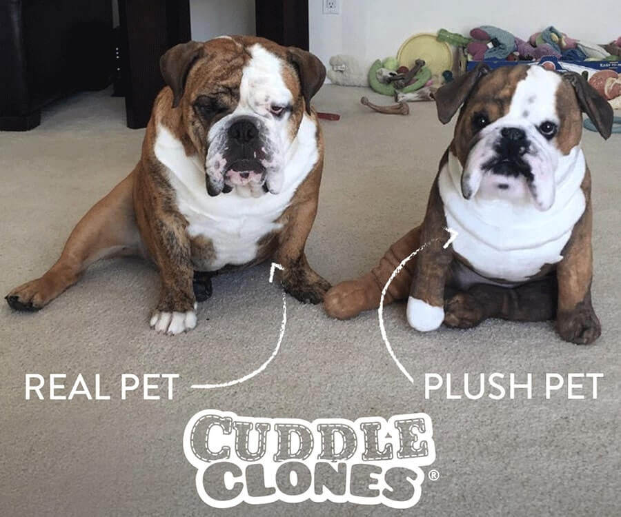 Stuffed Animal Dog Clone