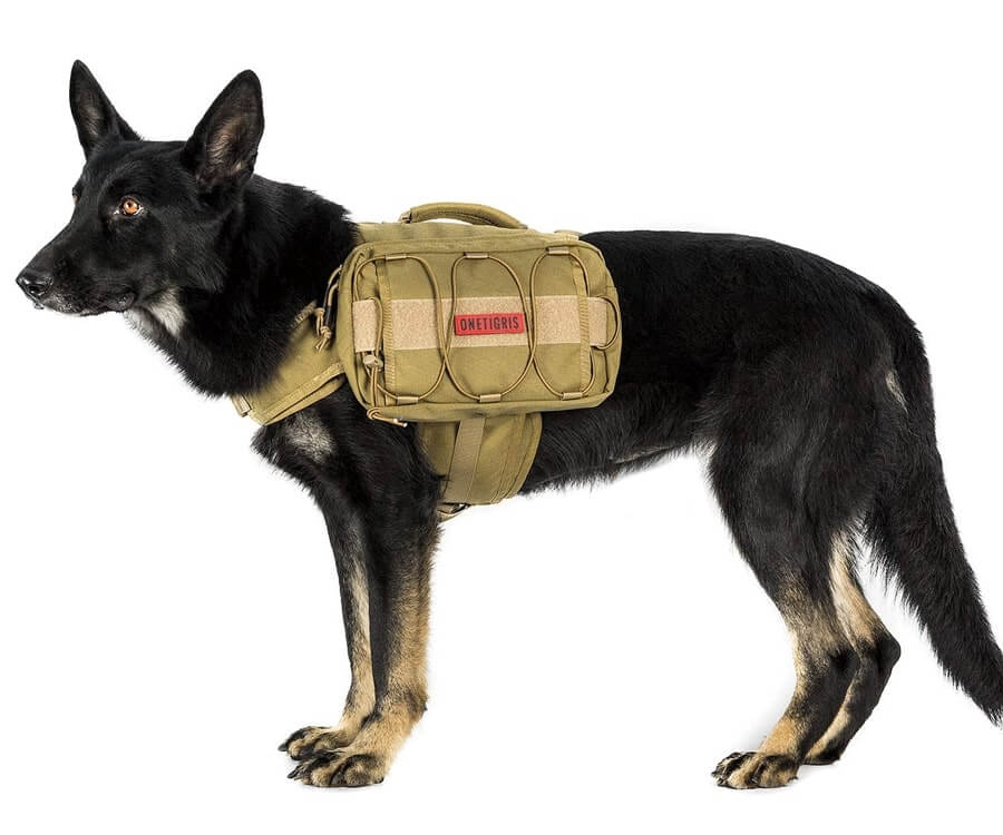 Dog Camping Backpack