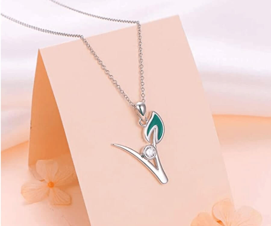 Rhinestone Vegetarian Necklace