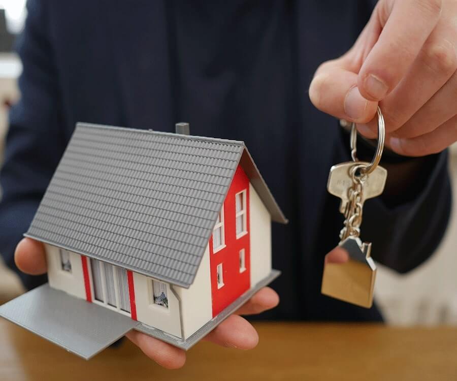 House Sitter For Trips