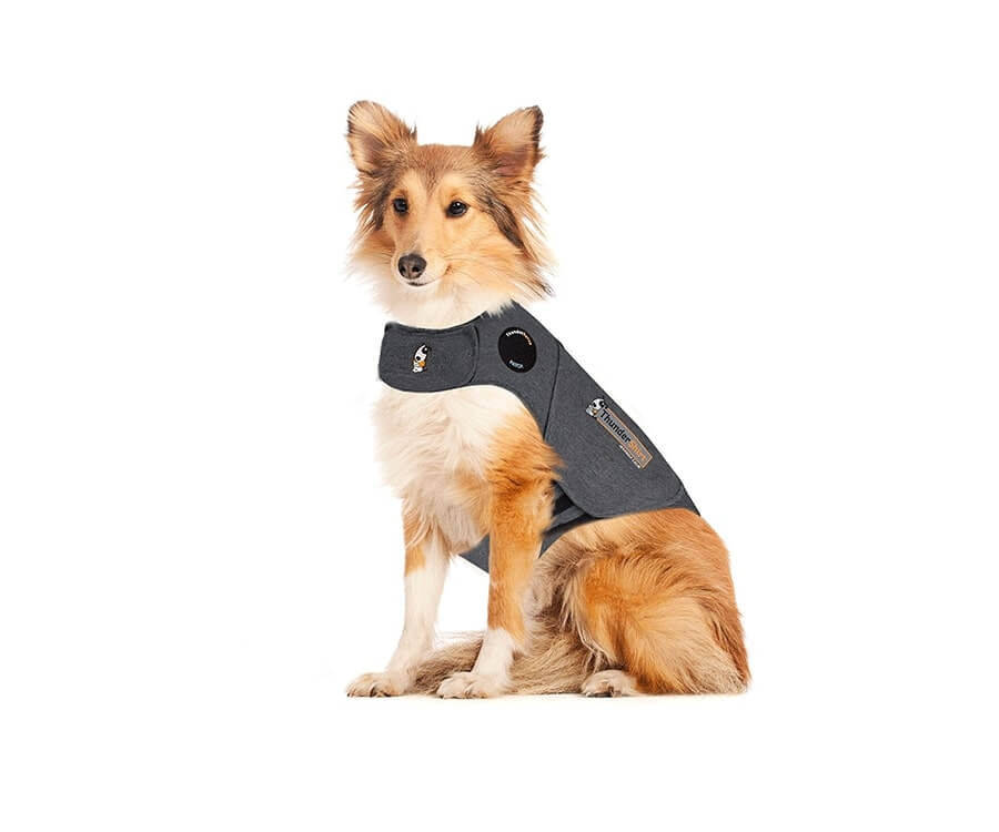 Thundershirt anxiety jacket