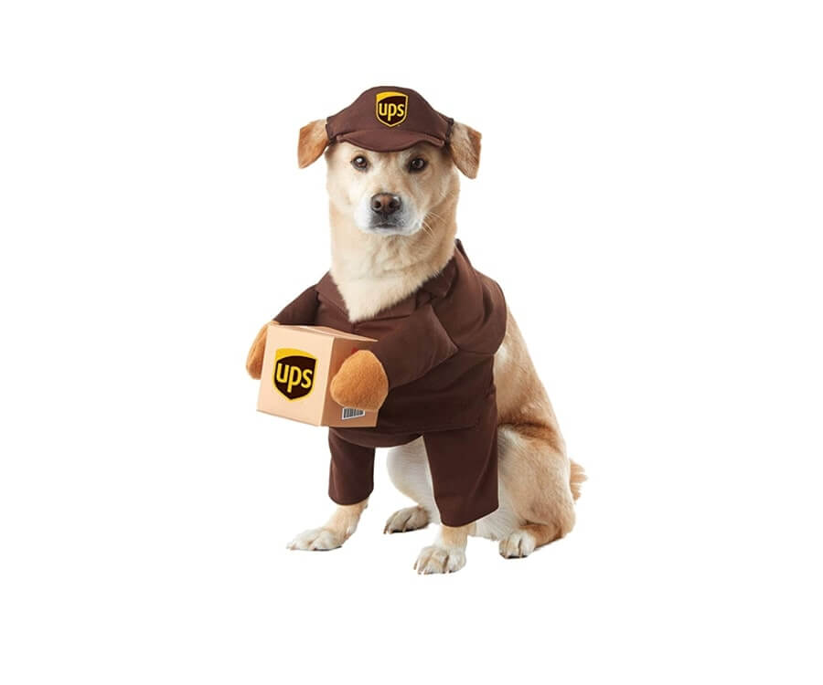 UPS Pet Costume