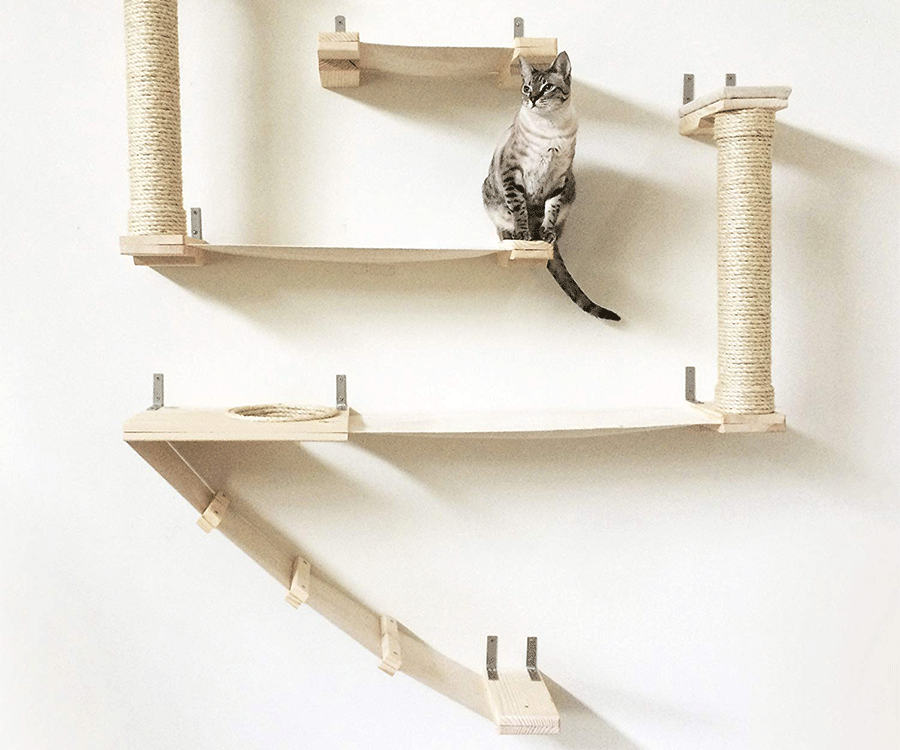 CatastrophicCreations