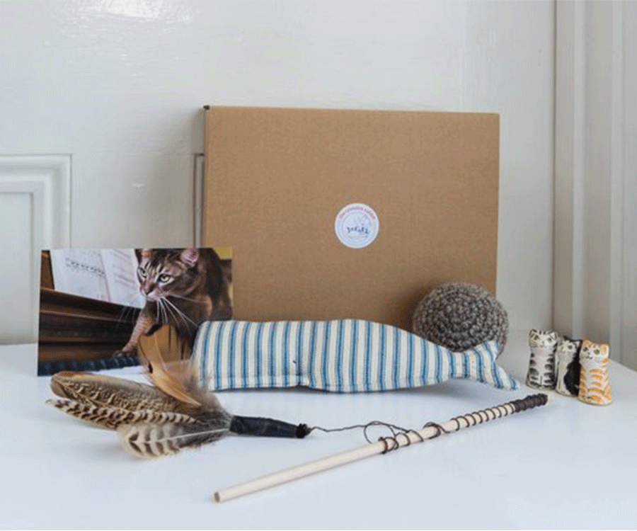 Kitty Cuddle Collection