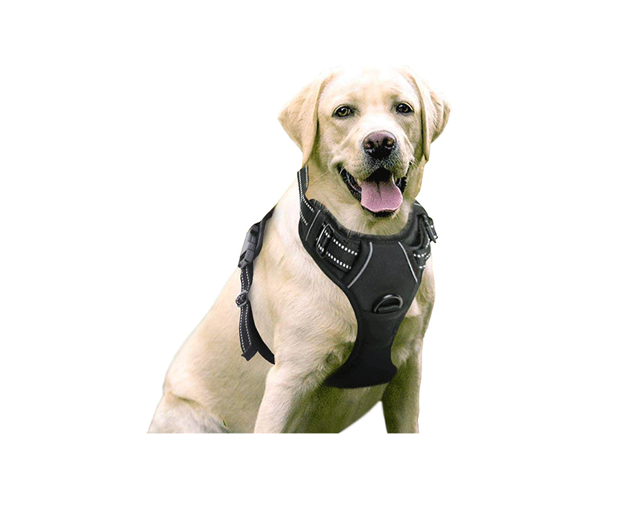 Rabbitgoo Dog Harness