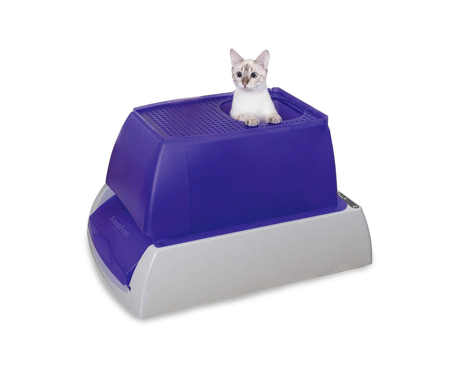 Scoopfree self cleaning cat litter