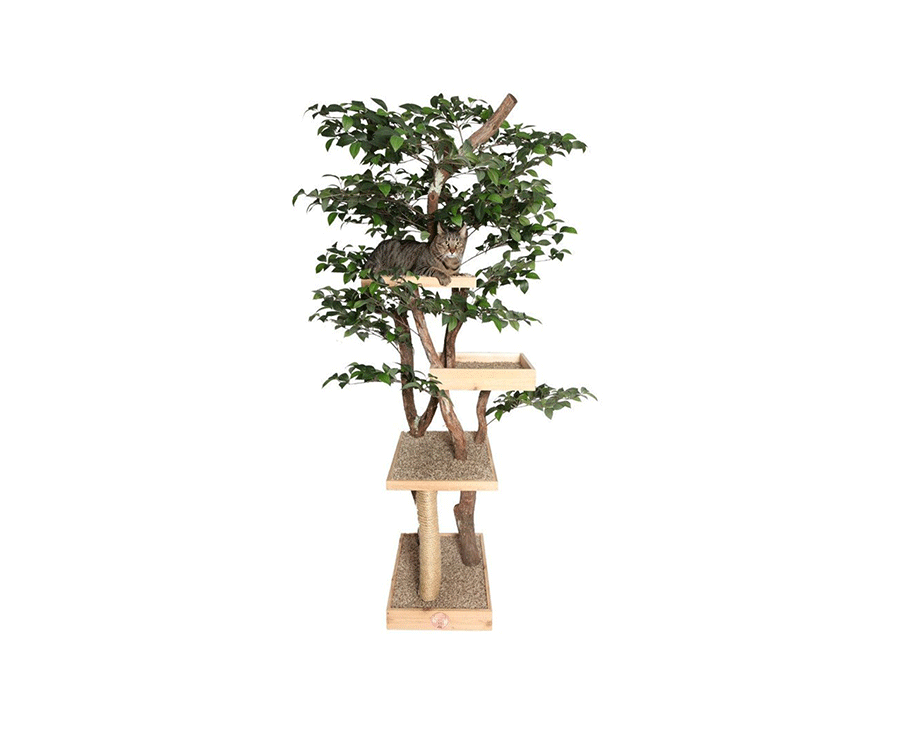 Sycamore Cat Pet Tree House